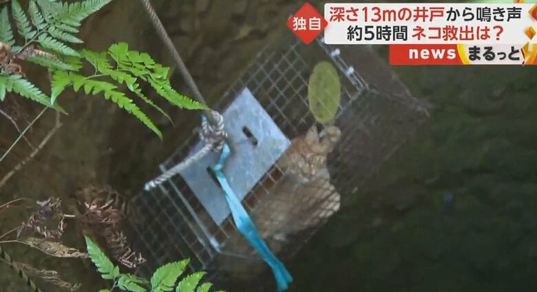 市の職員らが見守る中、井戸からネコが引きあげられた