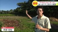 【ヒグマ速報】体長1.8メートルのクマがヤギを襲う…ペットとして飼われていたメスのヤギが姿を消したためドローンで周辺を捜索したところ”食べる姿”を確認＜北海道八雲町＞