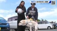 盲導犬の利用者を避難誘導する訓練　南海トラフ地震を想定　11月5日は津波防災の日　広島・府中市役所