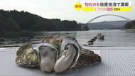 気仙沼湾の波にもまれた、宮城の「カキ」の魅力 家庭で作れるカキ料理も【宮城発】