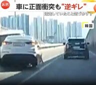 「何考えてるんだ？」目の前で逆走トラックが車と正面衝突　運転手は“逆ギレ”も過失に気付き謝罪　3人けが　韓国