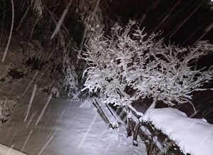 島根・鳥取両県で急激に積雪が増加 平野部でも10センチを超えさらに増える恐れ