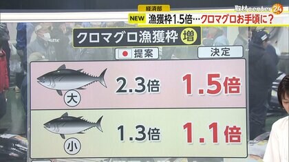 【解説】クロマグロ漁獲量アップ決定へ　大幅な増枠には至らずも…漁獲枠“1.5倍”でお手頃価格になる可能性も