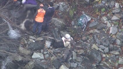 クマを指定管理鳥獣に 国の検討会が方針案まとめる 捕獲に金銭的支援＆ハンターらの人材育成も 最多ペースで進むクマ被害に対策を本格化