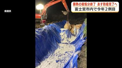 静岡県内で今年2例目の豚熱 殺処分終了であすにも防疫措置完了へ