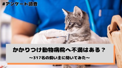 かかりつけ動物病院への満足度、「とても満足」「やや満足」が計90.5%--一方で不信感を抱いた飼い主の約半数が「変えたいのに変えられない」（犬・猫の飼い主317名へのアンケート調査）