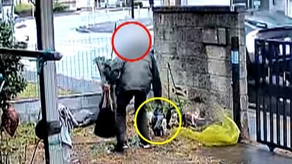 見知らぬ人物が敷地内に…白昼堂々男がフクロウの置物を手提げバッグに入れ持ち去る　東京・昭島市