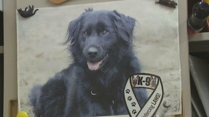 被災地で生まれ11回目で合格…災害救助犬「じゃがいも」震災から15年を前に天国へ “後輩犬”が受け継ぐ思い