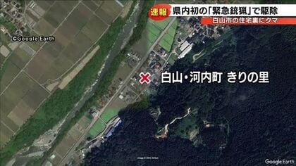 「クルミの木にクマが…」住宅裏に１ｍのクマ　県内初の緊急銃猟で駆除