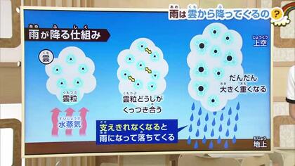 「雨は雲から降ってくるの？」子どもの疑問を石黒菖気象予報士が解説！「雨を降らせる雲は2種類だけ」