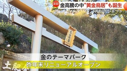 金のパワーもらえそう」50本ズラリ「黄金鳥居」が話題…伊豆・土肥金山