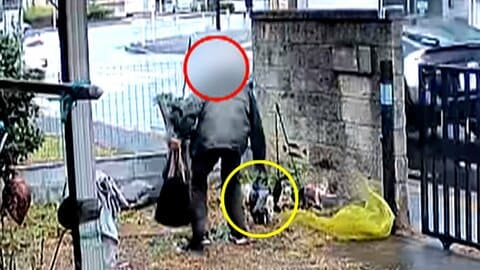 見知らぬ人物が敷地内に…白昼堂々男がフクロウの置物を手提げバッグに入れ持ち去る　東京・昭島市