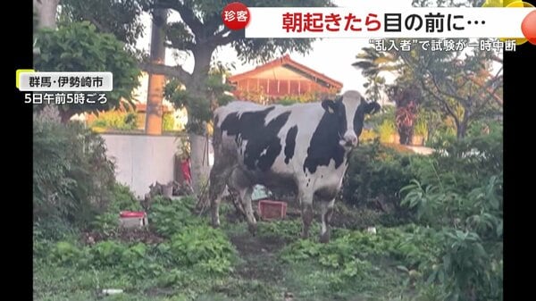 img_66107dcfa271512dbc3ba88d0e