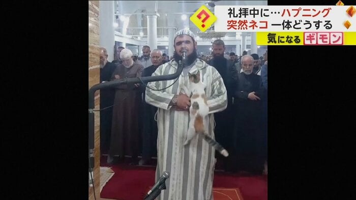 指導者に飛びつくネコ（The Official Page Of Sheikh Walid Mehsas）