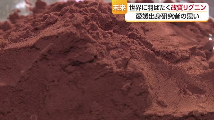 「木」から生まれる未来の素材