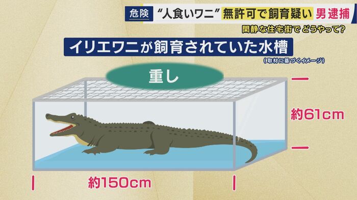 イリエワニが飼育されていた水槽