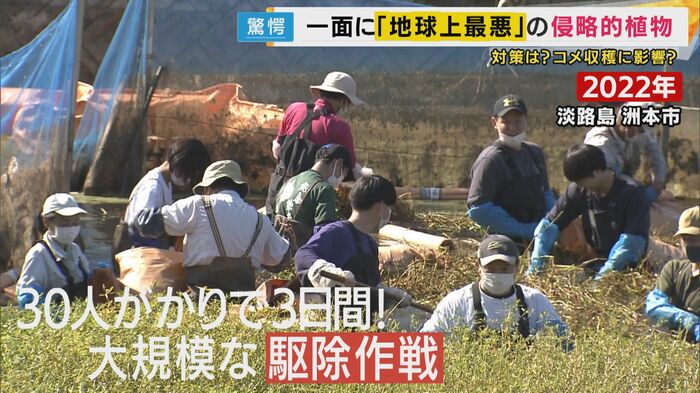 30人がかりで3日間かけた大規模な駆除作戦