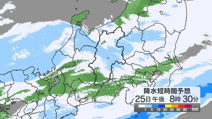 降水短時間予想（25日午後8時半の予想）