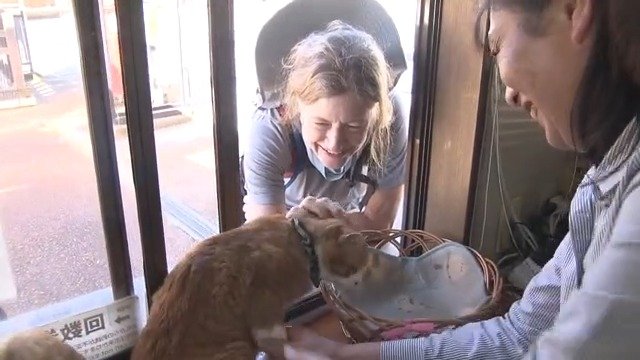 みぃちゃんをなでる外国人観光客