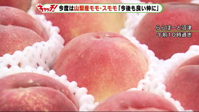 “バイ・ふじのくに” 今度は山梨の桃やスモモ 静岡・沼津市