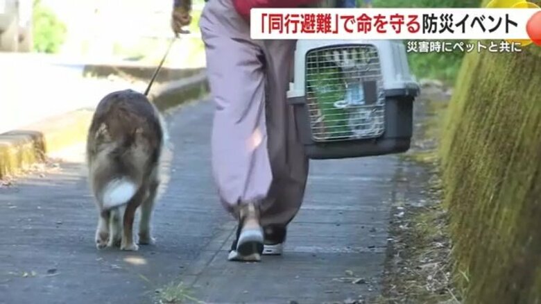 「想像以上に大変！」災害時を想定したペットとの“同行避難”訓練　ペットの習性に寄り添った日頃のしつけも大事！｜FNNプライムオンライン