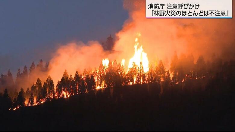 林野火災のほとんどは「人間の不注意によるもの」宮崎市鏡洲で起きた山火事の原因は…？1月から4月は空気が乾燥し強い風が吹くため十分な注意が必要｜FNNプライムオンライン