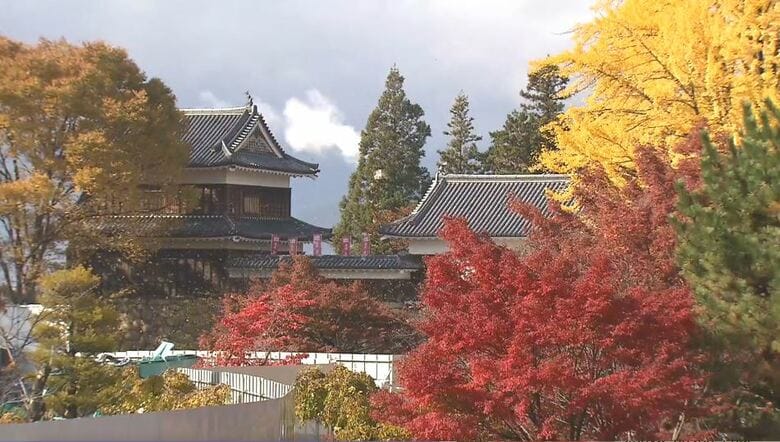 上田城跡公園で紅葉が見ごろ　長野・上田市｜FNNプライムオンライン