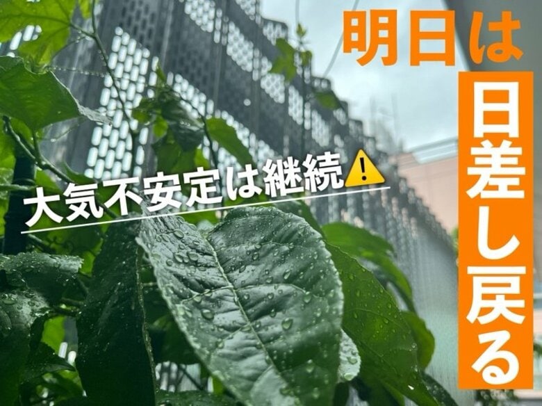 【広島の天気】7/15（火）晴れたり曇ったり…蒸し暑さ高まる 午後からは所によって急な雨にも要注意｜FNNプライムオンライン