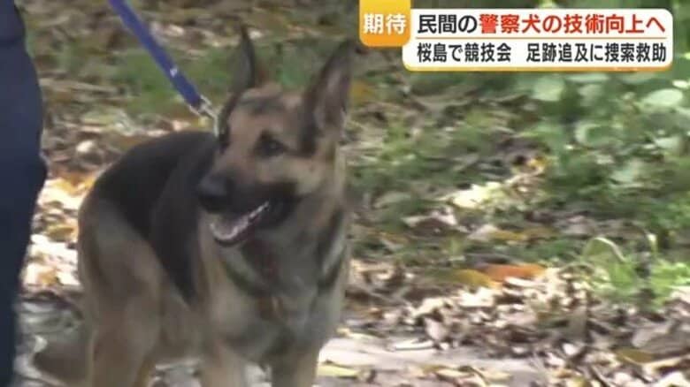 嘱託警察犬・イトくんが火山灰を克服　足跡追及で遺留品発見｜FNNプライムオンライン