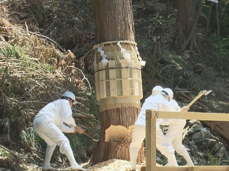 20年に1度の伊勢神宮『式年遷宮』ご神体を納める器に使われるヒノキを切り出す神事 岐阜県中津川市の国有林｜FNNプライムオンライン