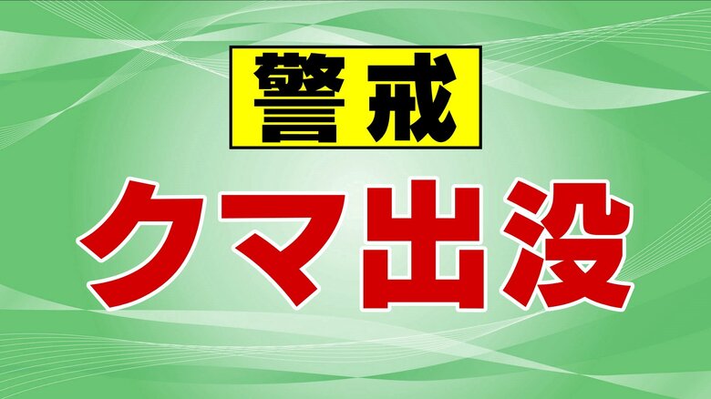 善光寺境内にクマ出没か　警戒中の市職員が目撃　10日夜から11日未明にかけて長野市街地で複数の目撃情報｜FNNプライムオンライン