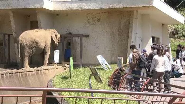 駐車場を予約制にした結果…GWの来園者数が激減　静岡市の日本平動物園　渋滞は発生せず一定の効果も前年の6割に留まる｜FNNプライムオンライン