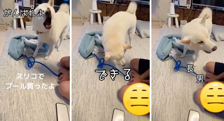 応援するかのように吠えるだい吉くん