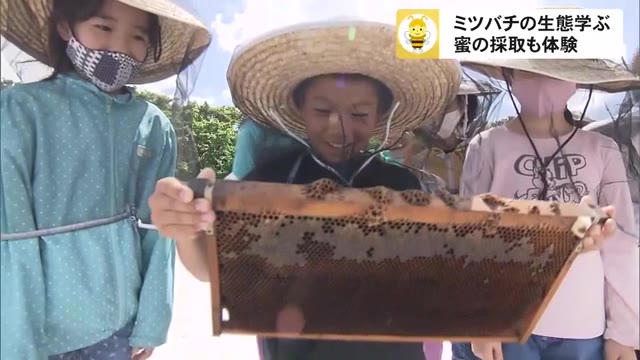 「食べないと損!」子ども達がミツバチ学びハチミツ味見