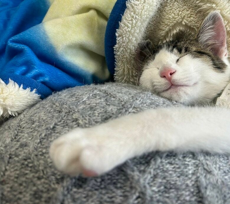 寄り添ったまま寝ていたそう