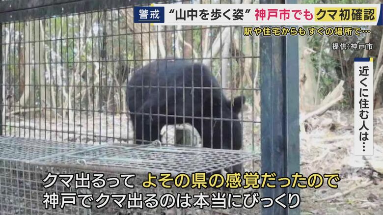 神戸市でクマ目撃