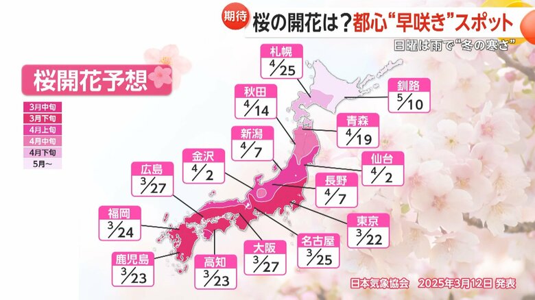 桜開花予想（日本気象協会・3月12日発表）