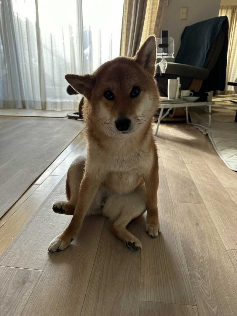 提供：はちさん