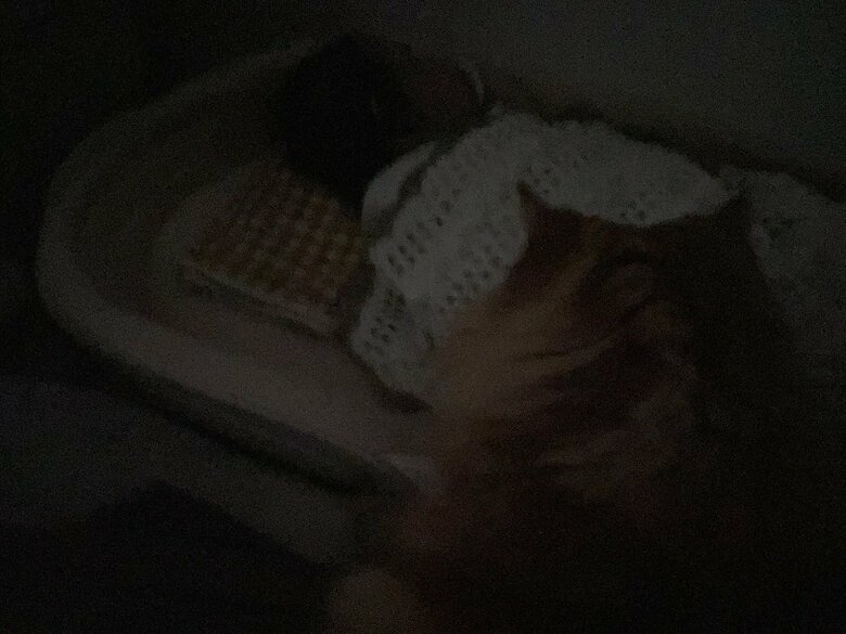 朝、娘さんが寝ている時もべったりと見守っているという