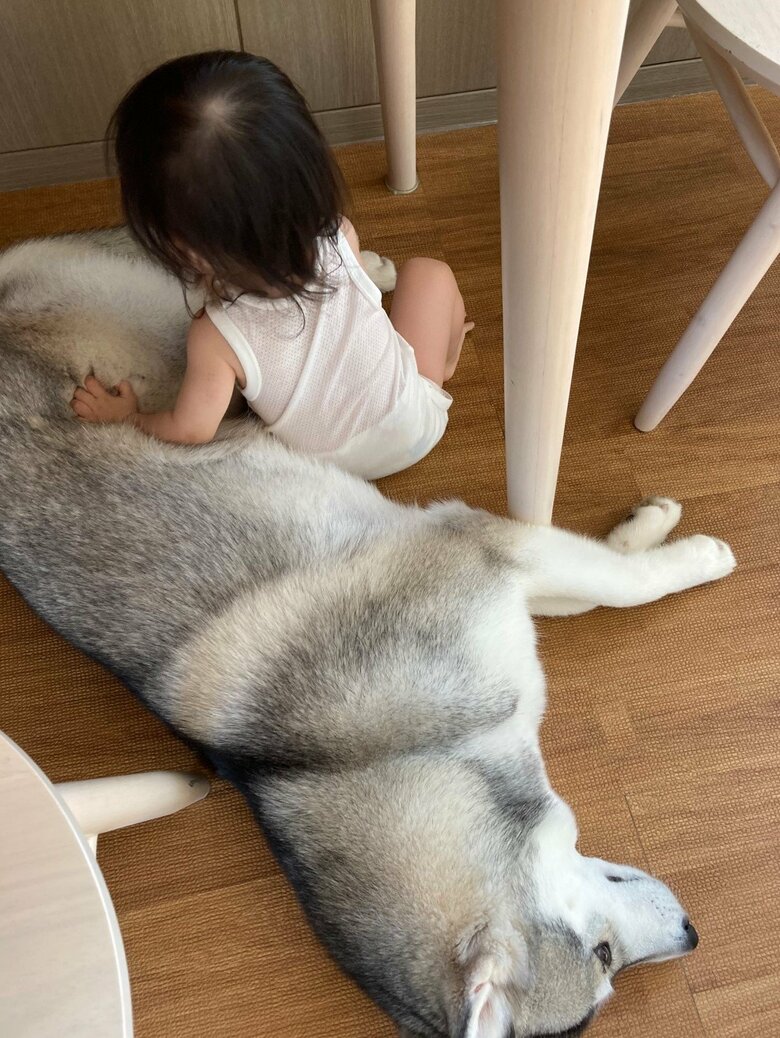 触られてもされるがまま