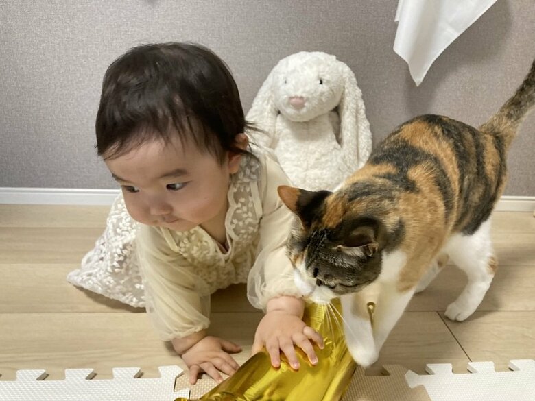 飼い主さんのお子さんとも遊んでいる