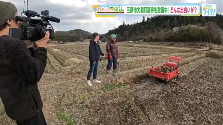 土をならし、田植えの準備