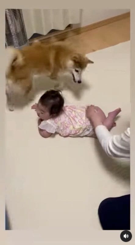 お尻をペンペン（提供：SORAさん）