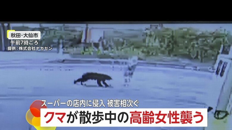 防犯カメラが捉えた、クマが高齢女性に襲いかかる瞬間⑩