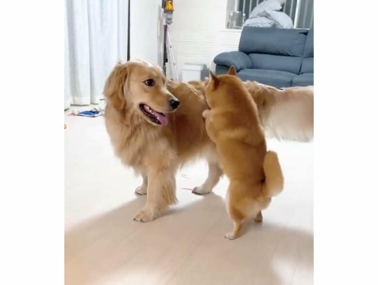 提供：うにandおからさん