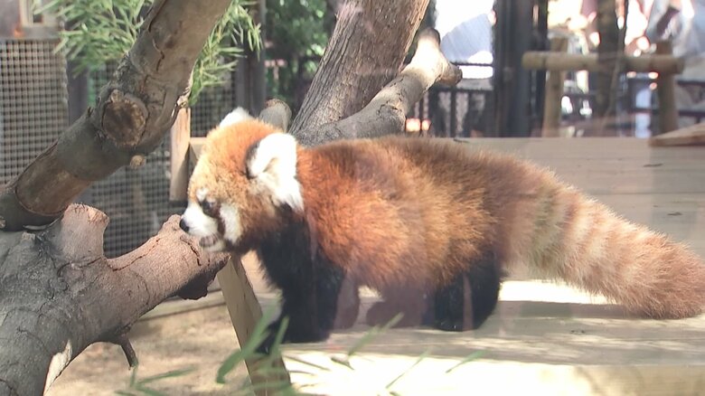 好奇心旺盛な杏香