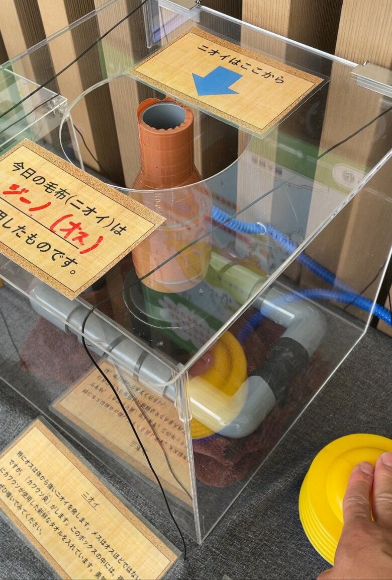 カワウソのニオイクンクンBOX（提供：サンシャイン水族館）