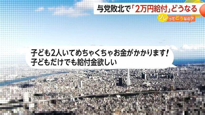 2万円給付について、SNSで寄せられた不安の声