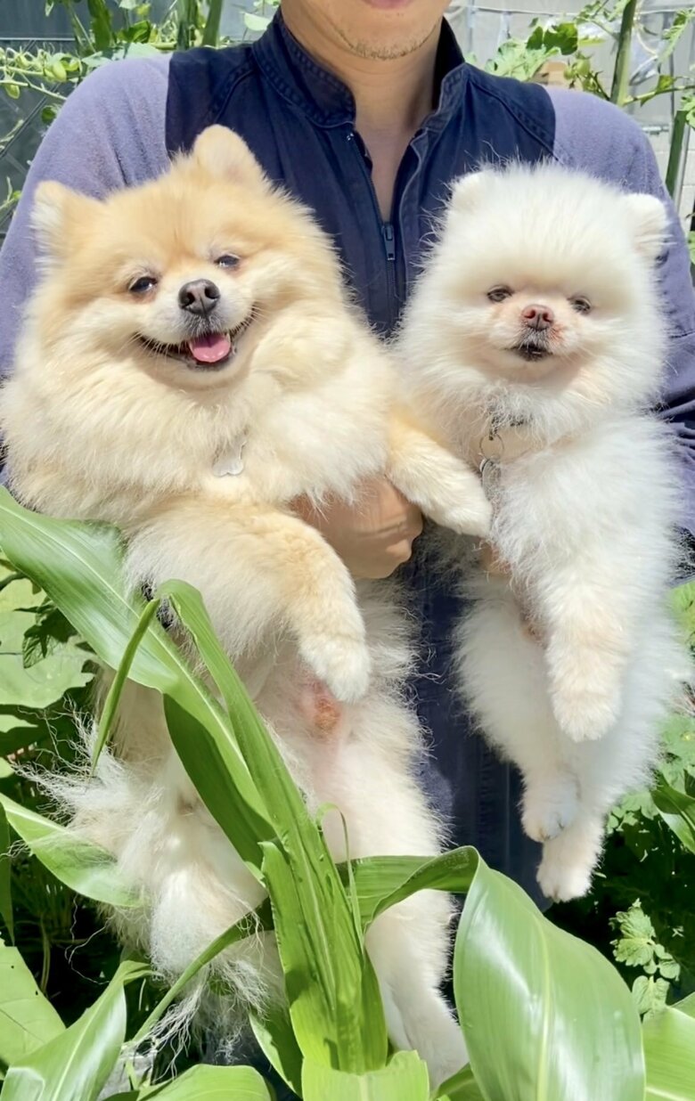 太陽を浴びて、ニコニコ