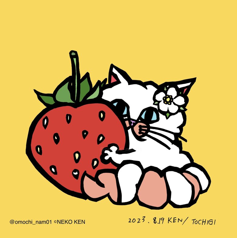 栃木県のいちごネコ。耳飾りもいちごの花（提供：なみそさん）
